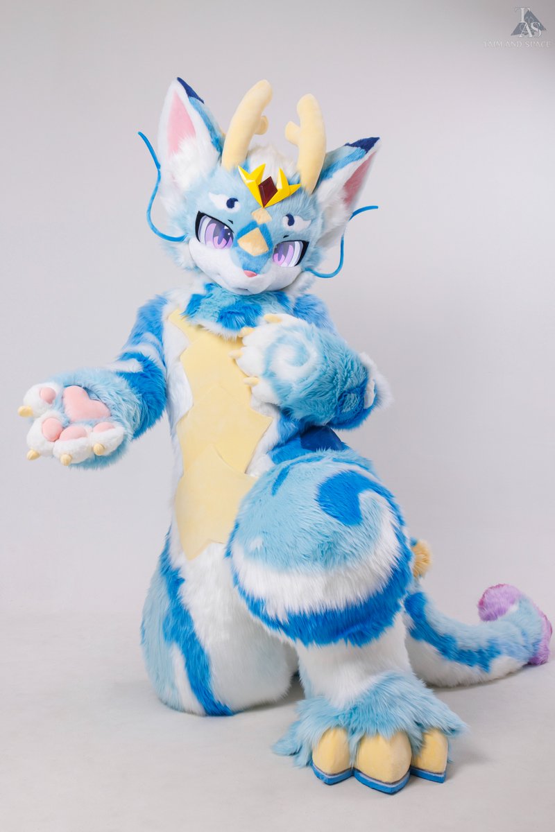 TAS兽化工作室 tweet media