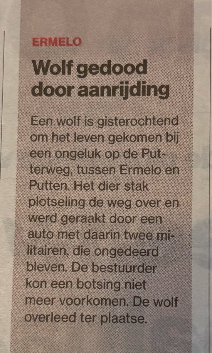 Cor Pierik tweet media