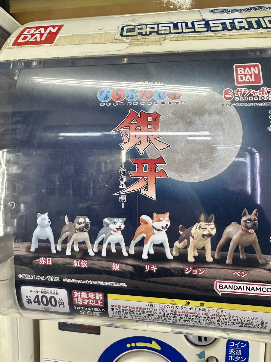 やばい 銀牙のフィギュア全部欲しい！ そして1番覚えてないのでた