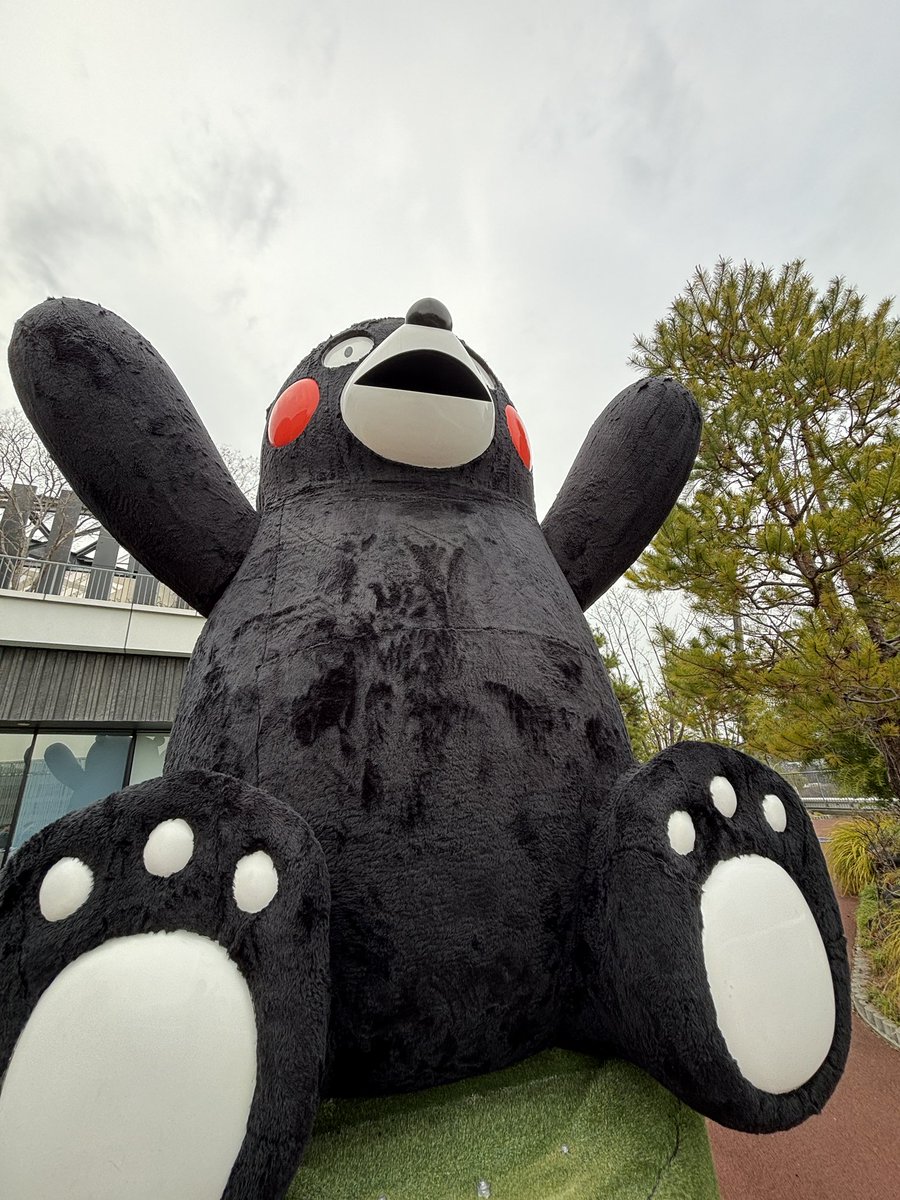 Post by Takashi Watanabe on X: くまモン大きい！