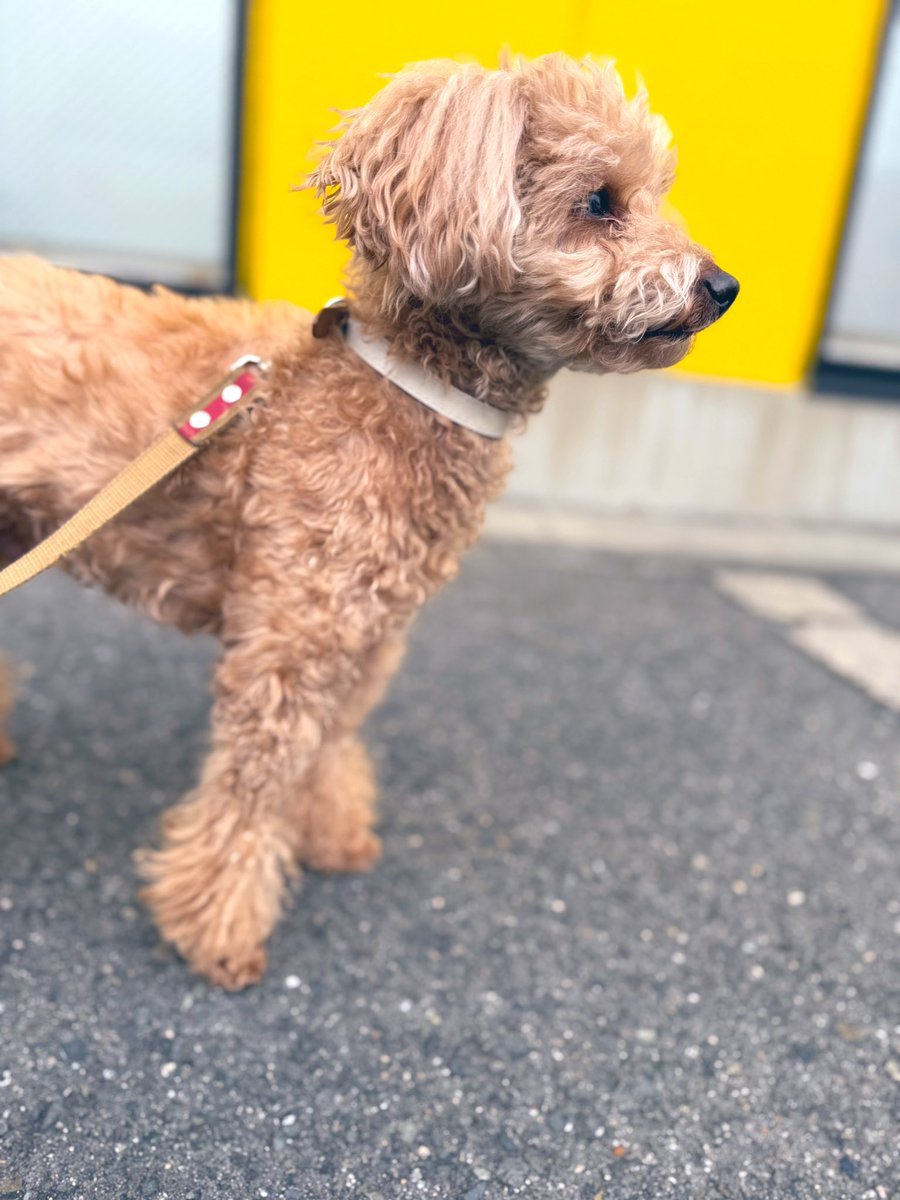 ゆうか™🤍 (@uka_1oo) / Posts / X