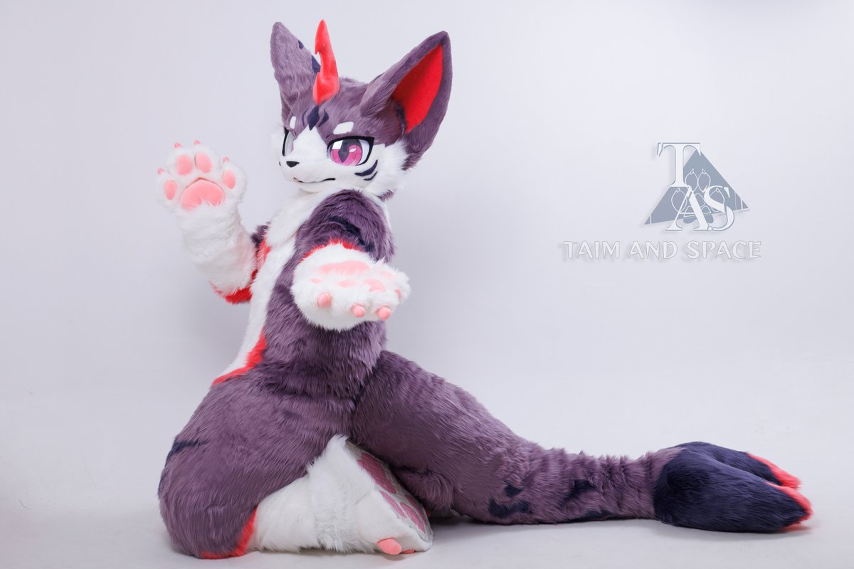 TAS兽化工作室 tweet media