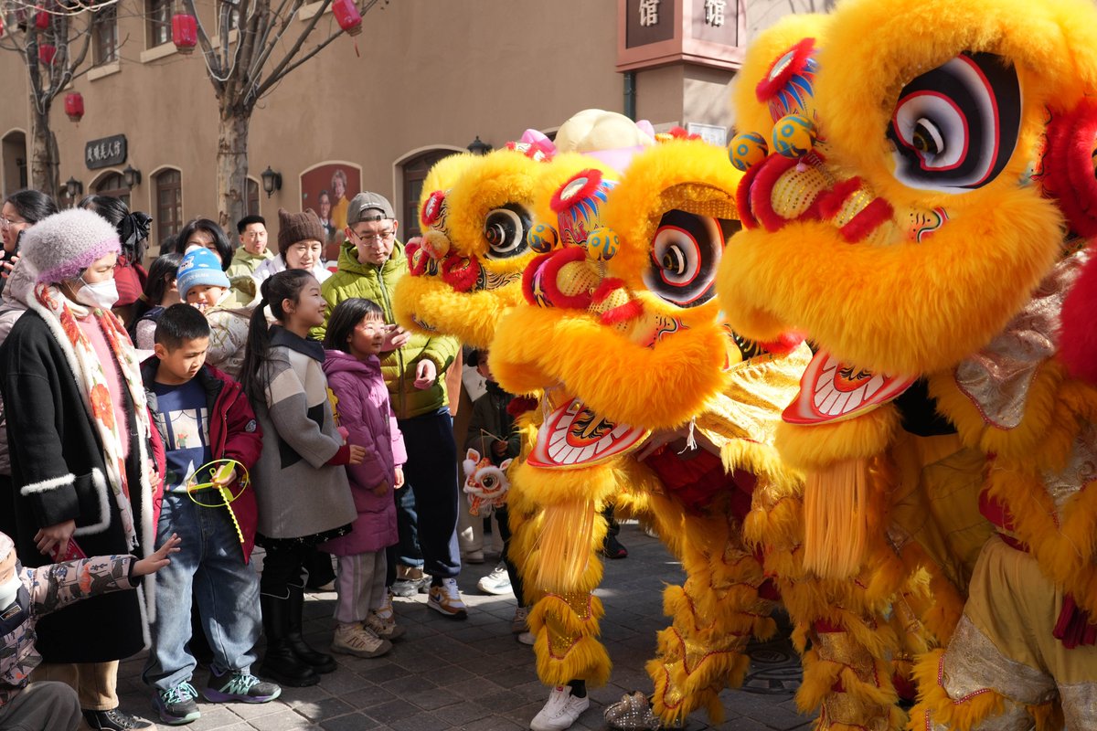 TouchShandong's tweet image. The 2026 #Qingdao Turnip, Lantern and Sugar-Coated Haw #Fair burst into life with a dynamic lion #dance that wove traditional charm into a modern spectacle. With their heads holding high, the colorfully costumed lions exuded a unique mix of power and playfulness. The performance