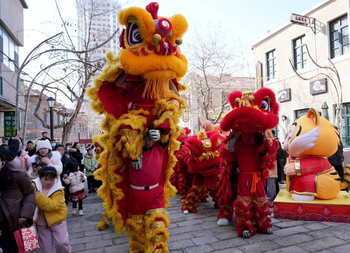 TouchShandong's tweet image. The 2026 #Qingdao Turnip, Lantern and Sugar-Coated Haw #Fair burst into life with a dynamic lion #dance that wove traditional charm into a modern spectacle. With their heads holding high, the colorfully costumed lions exuded a unique mix of power and playfulness. The performance
