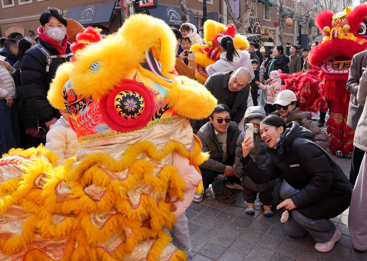 TouchShandong's tweet image. The 2026 #Qingdao Turnip, Lantern and Sugar-Coated Haw #Fair burst into life with a dynamic lion #dance that wove traditional charm into a modern spectacle. With their heads holding high, the colorfully costumed lions exuded a unique mix of power and playfulness. The performance