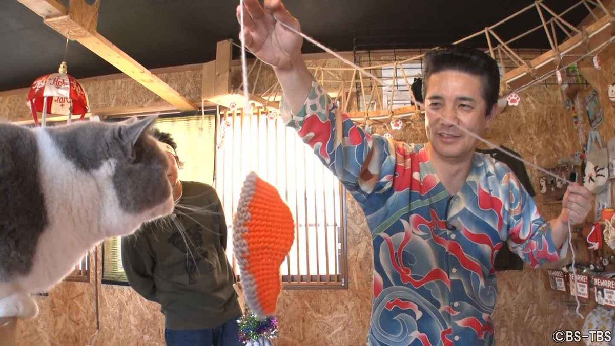 ⏰明日2/25(水)よる11時 「#ねこ自慢」 サンシャイン池崎とアイパー