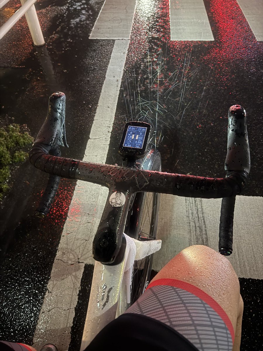 カピバラ (@CapybaraLIZED) / Posts / X