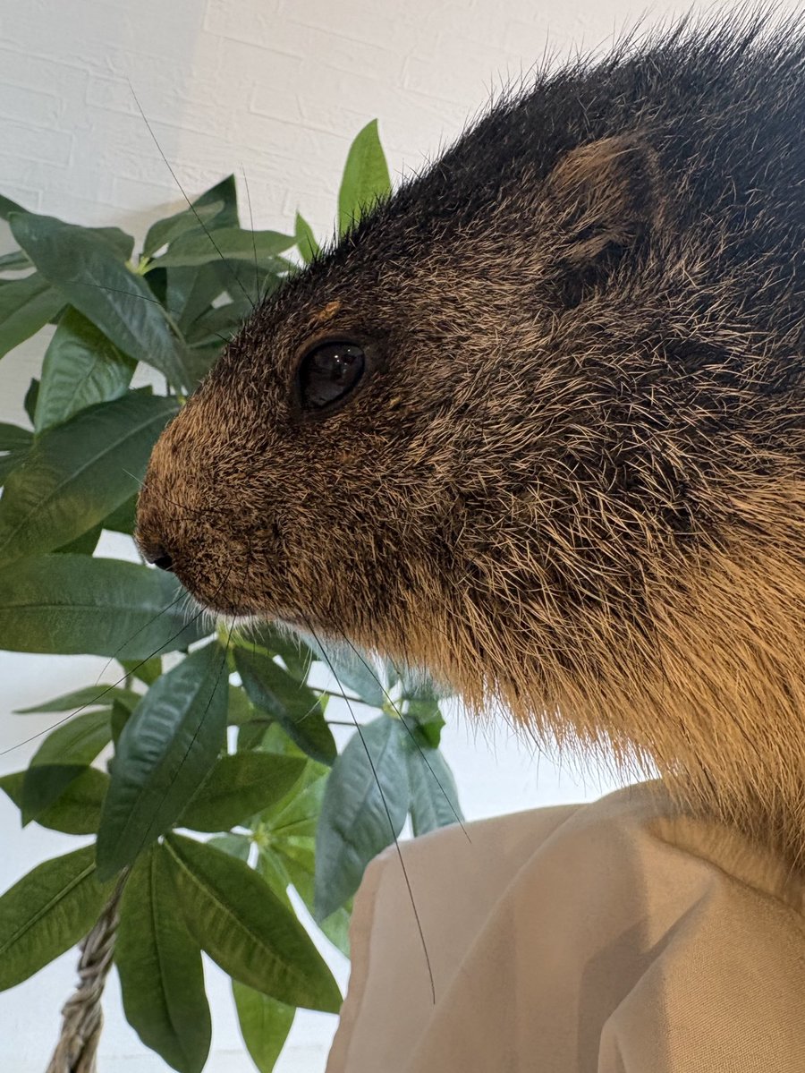 ひじきたんもオフなのに本日盛れていました😂いつもベイビーなのにイケメン😮‍💨💕