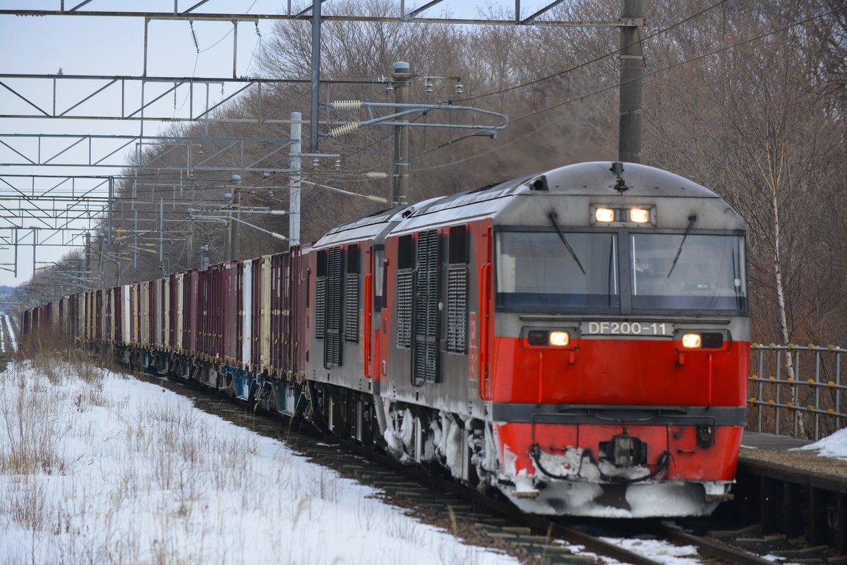 これを見た人は無言で去年の2月の画像を貼る