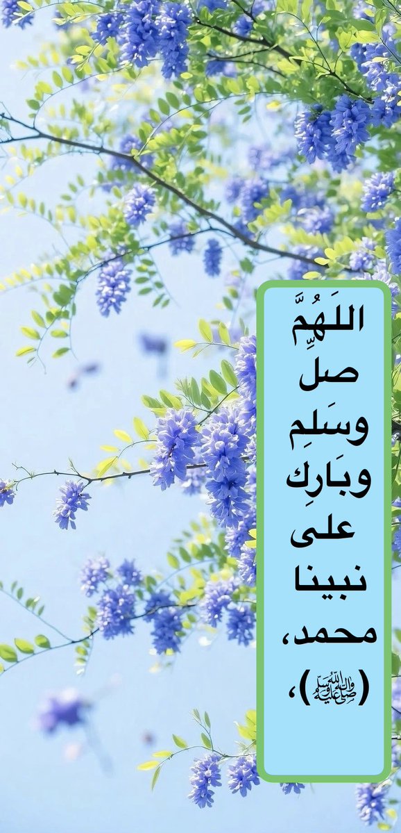 🪻🪻

▪️صلى عليك الله يا تاج الورى
                           ما قام عبد للإله و هللّهْ▪️

🪻🪻