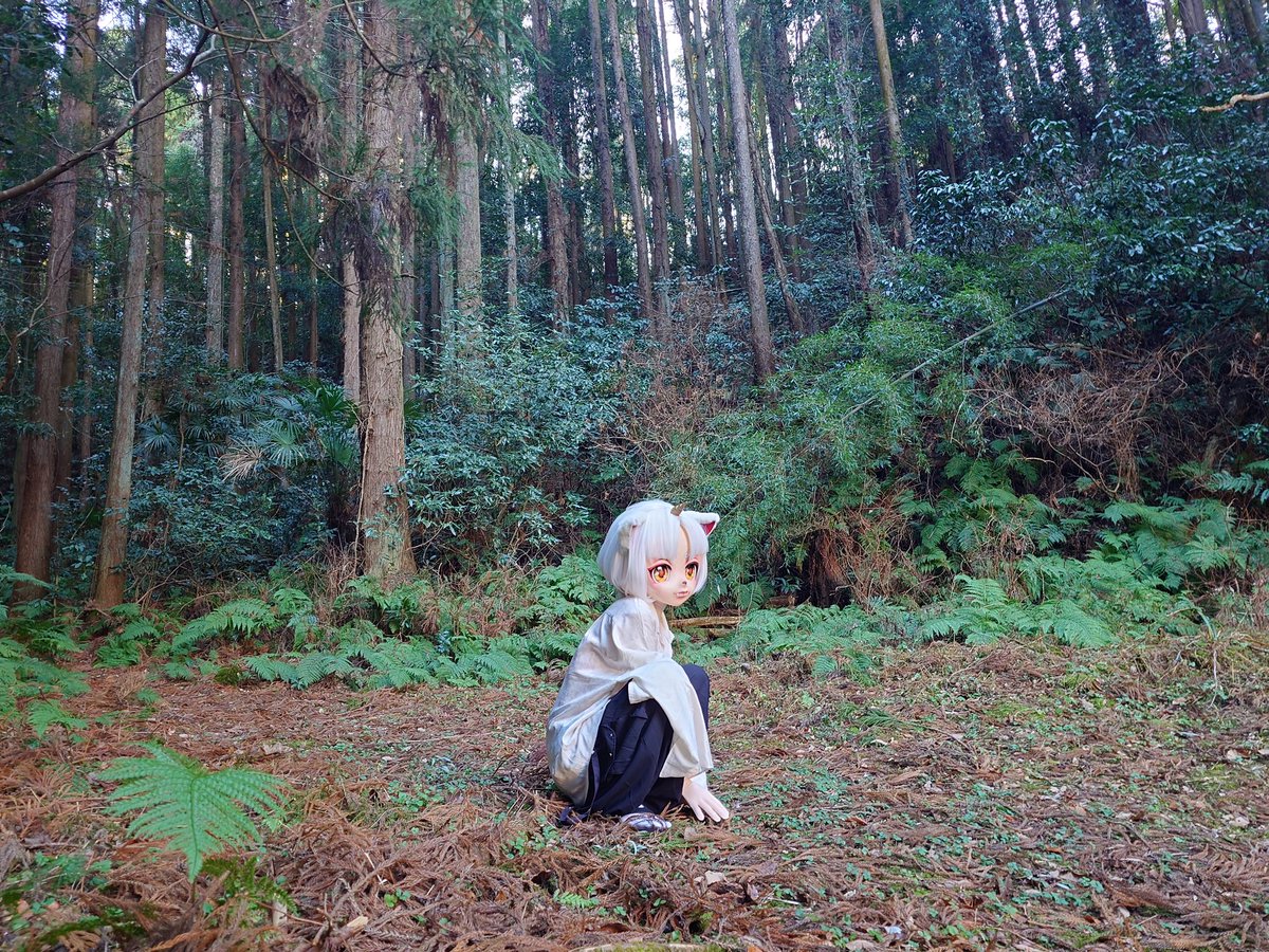 #コハの観察日記 #こいと写真館 
撮影：<a href="/SAT10ct/">どようび</a> さん