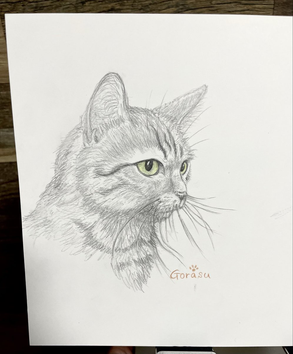 gorasu_0410's tweet photo. 猫の絵描き
鉛筆描きにちょい色鉛筆ฅ•ω•ฅ https://t.co/7wpH135Sfw