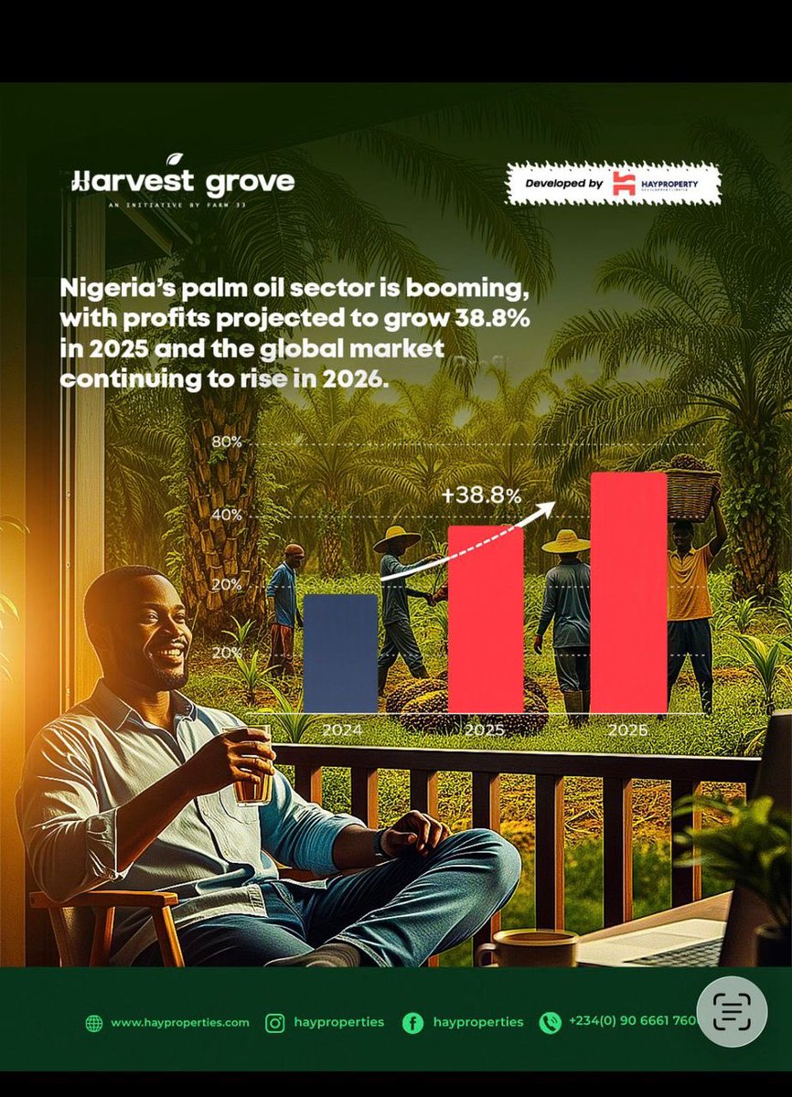 Hayproperties tweet media