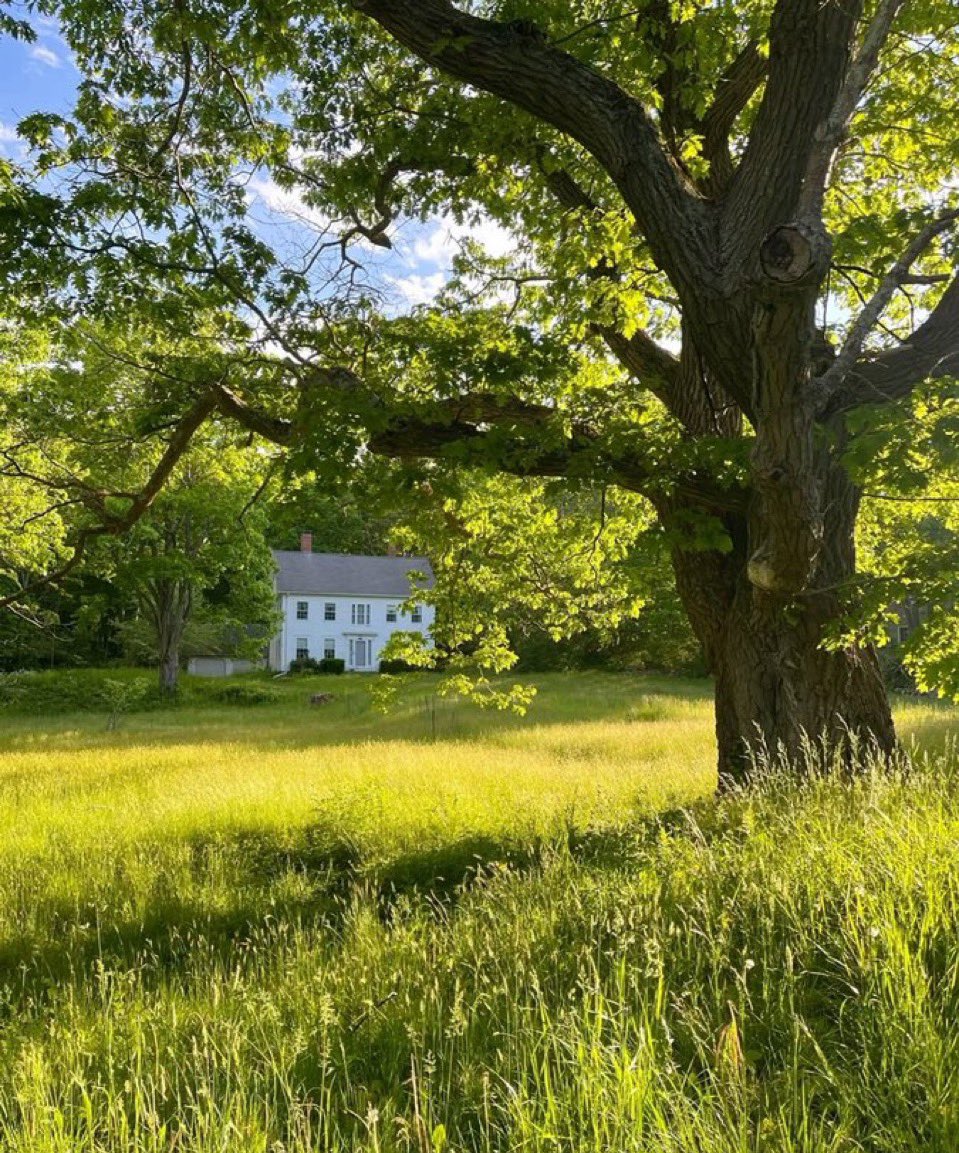 humans saw this and decided to invent ai so they could spend more time building apps they’ll never use