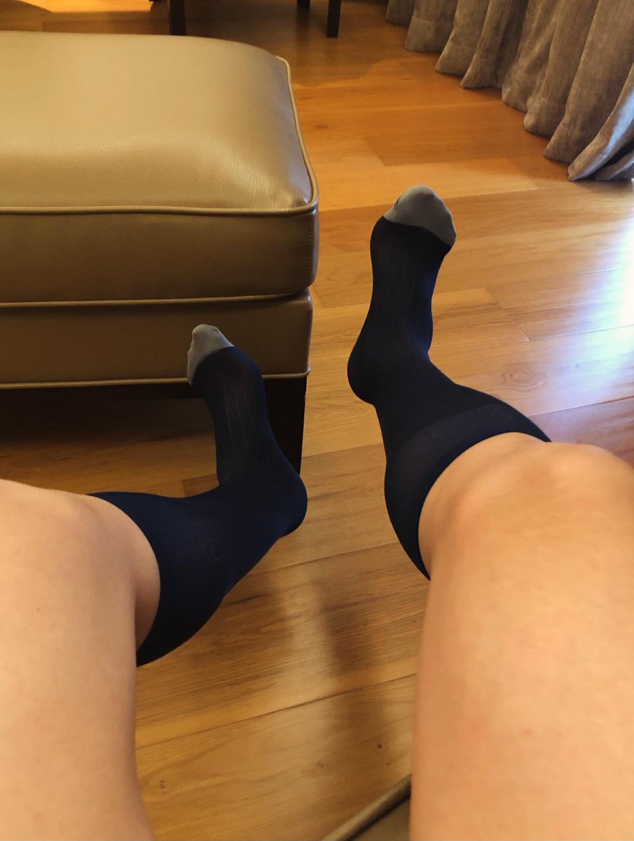 训犬师 tweet media