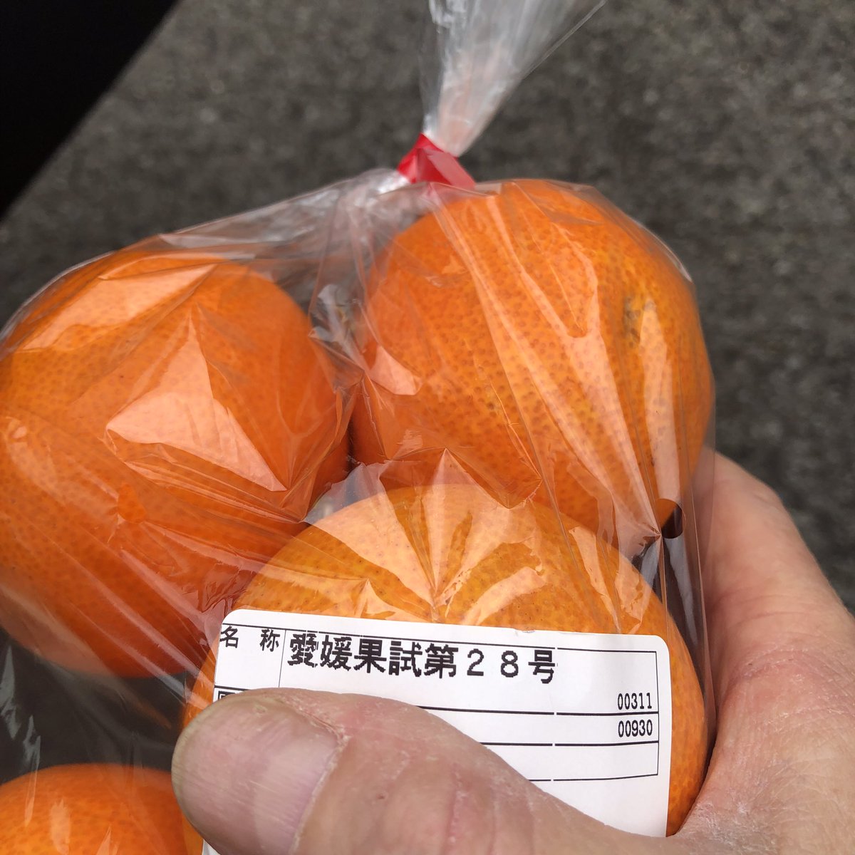 こばこば〜♪ なんとか28号。。。 前回美味しかったので また買って