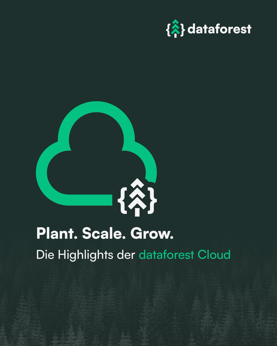 dataforest tweet media