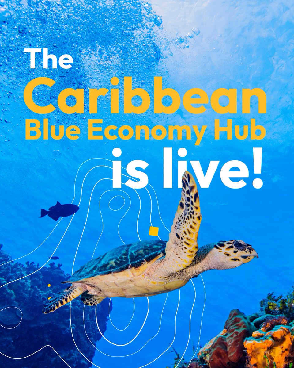 IWLEARN's tweet photo. 🤩 We are proud to announce the recent launch of the Blue Economy Hub. 💙

Developed by the Caribbean Biodiversity Fund, the Hub is a collaborative engine designed to accelerate marine innovation, science-based investment, and regenerative ocean growth.

@theGEF https://t.co/TuUoCQspT6