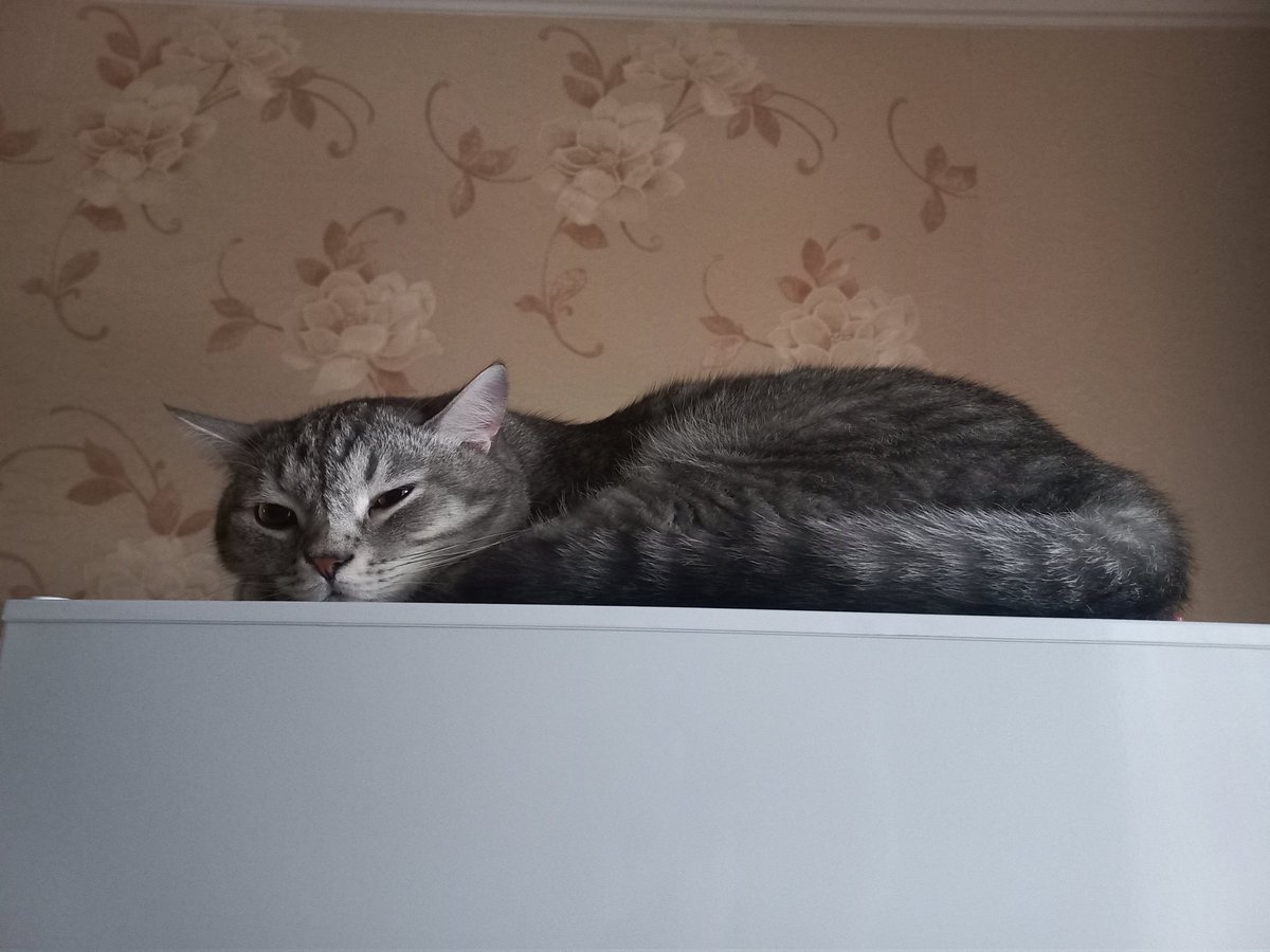 FaSTErG_Off's tweet photo. Растёкся https://t.co/lTBxCMfSRQ