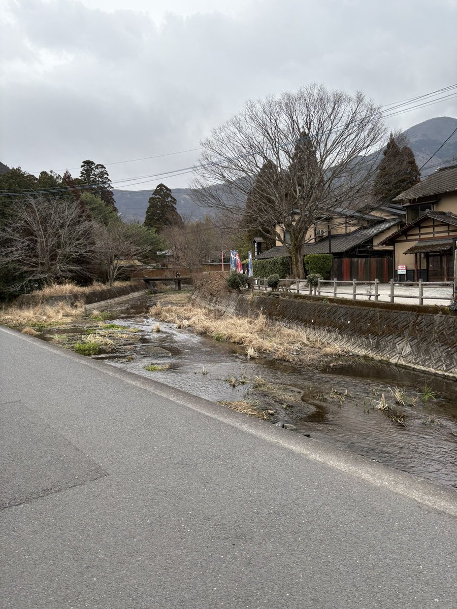 刹那/$E✴︎〜ツナ✴︎ tweet media