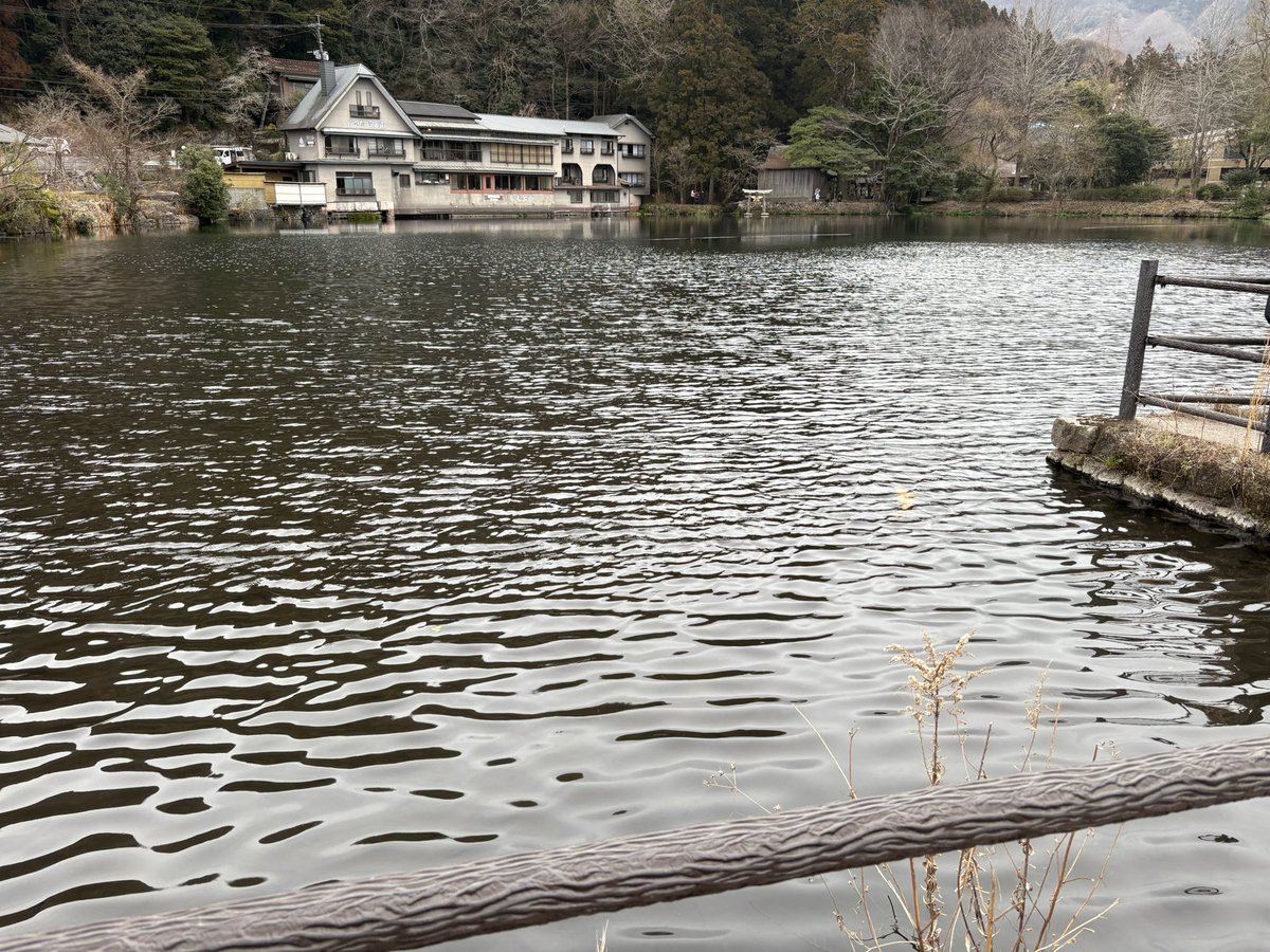 刹那/$E✴︎〜ツナ✴︎ tweet media