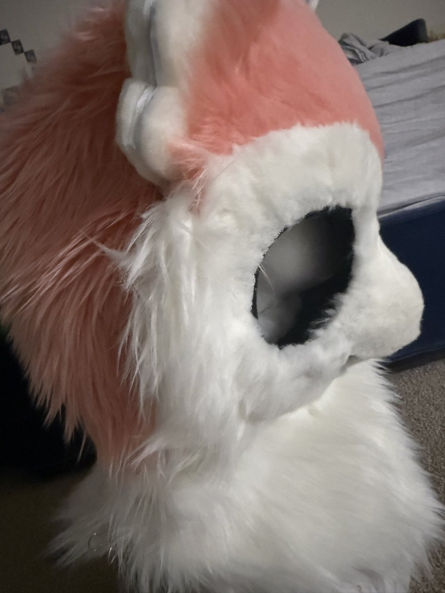 Ears and eyes tomorrow me think