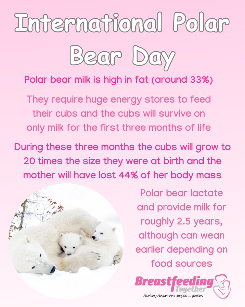 Breastfeeding Together tweet media