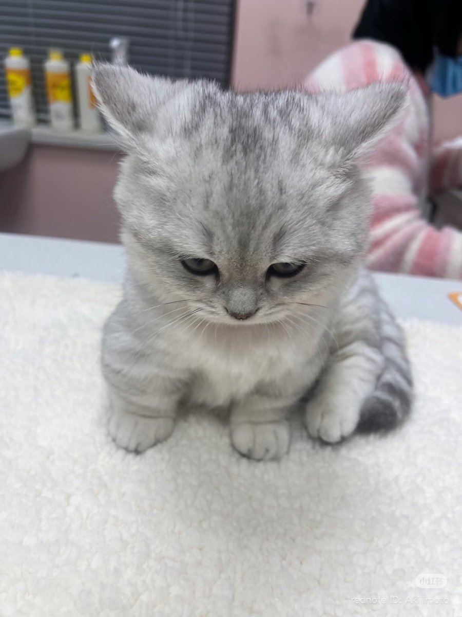 𝔸ℕ𝔼 tweet media