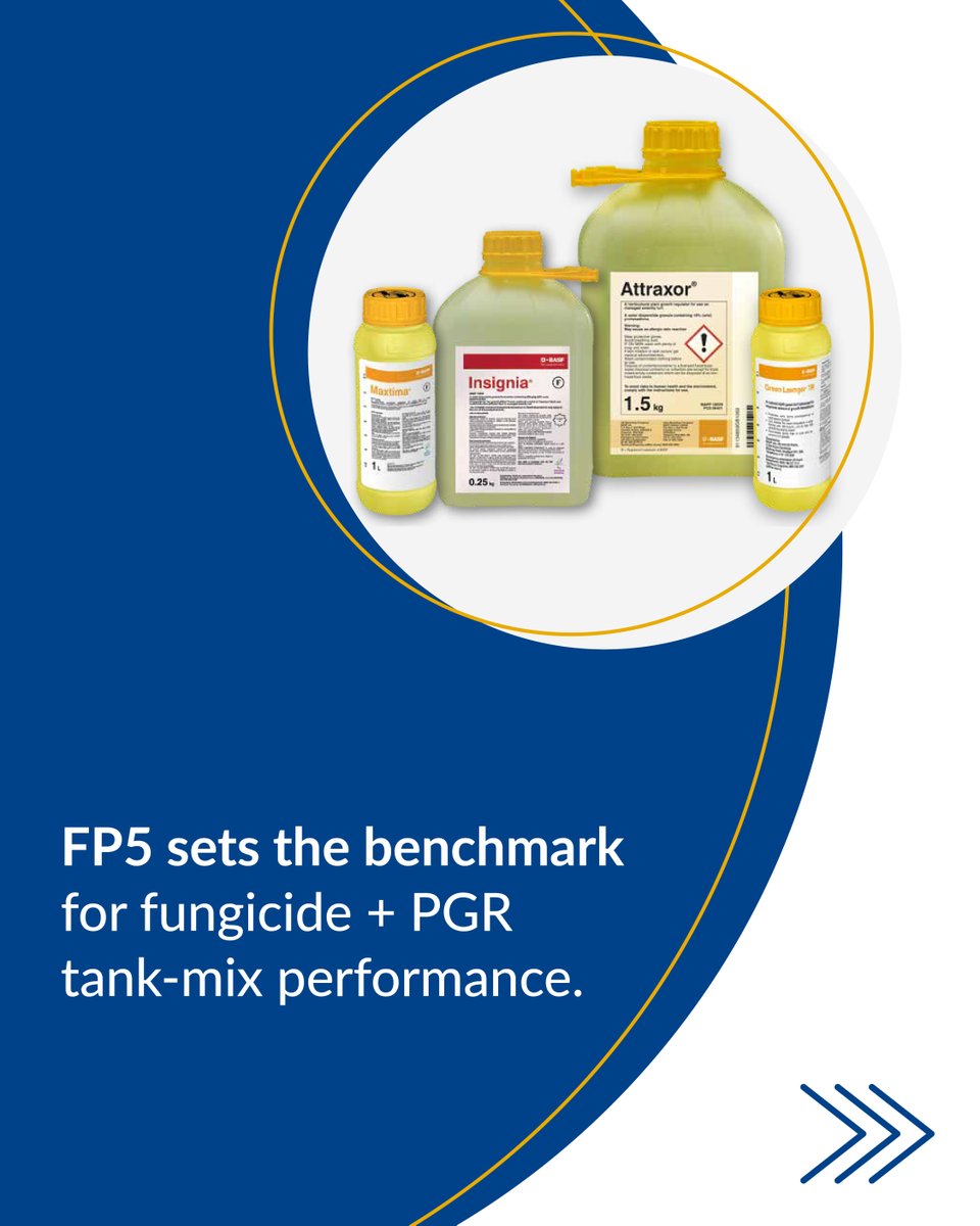 AgrovistaAMNTY's tweet photo. FP5 sets the benchmark for fungicide + PGR tank-mix performance. High compatibility and stability deliver reliable disease control, predictable regulation, and elite surface quality — even under high growth pressure.

The trusted choice for top-tier turf.

https://t.co/r7SfmpTjfj
#FP5 #TurfScience #Greenkeeping #Fungicide