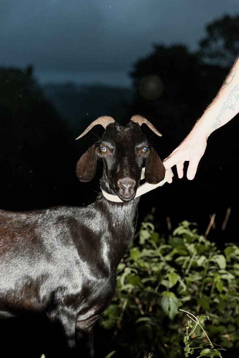 Mia Forrest 💎 tweet media