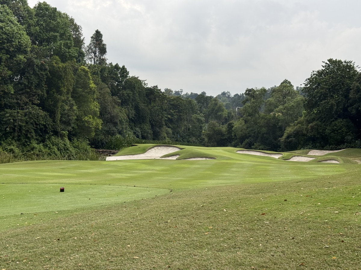 Rex Tattersall tweet media