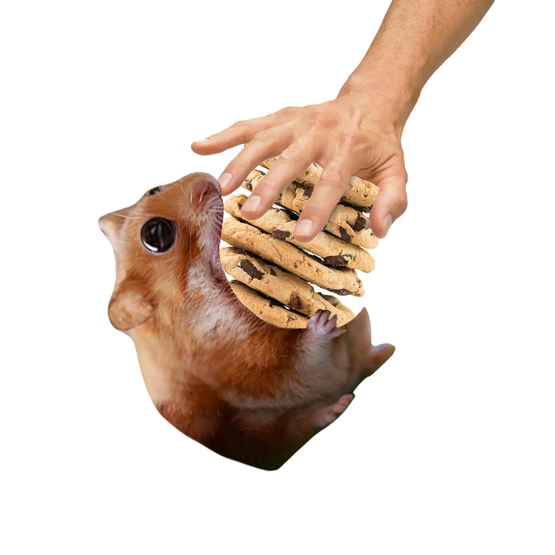 <a href="/eron_1dec/">eron</a> $nomnom 99% of memes 2024 are dead. nomnom's been grinding for 1.5+ years and still hungry. 

Stay hungry, stay nomnom 🐹