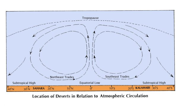 Ernesto Barrera tweet media