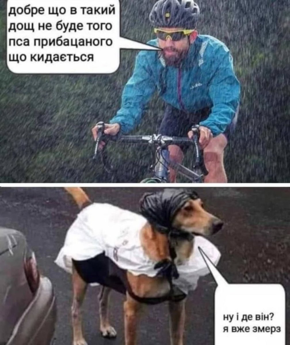 Один з моїх улюблених мемів.
Згадався, бо у нас зараз дощ і холодно
