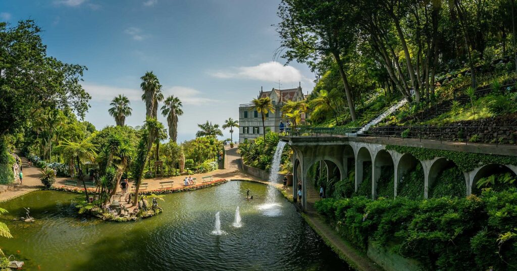 XploreHeaven's tweet image. Madeira Travel Guide 2026: Top Things to Do, Best Itineraries &amp;amp; Insider Tips
.
xploreheaven.com/madeira-travel…
.
#TravelGuide2026 #xploreheaven #GuidedTours #toursandtravel #TravelGoals #escape
