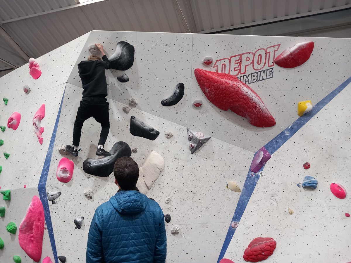 Team Fostering tweet media