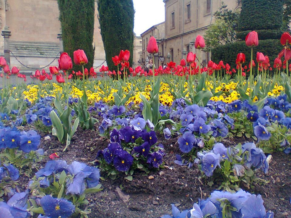 "Ils pourront couper toutes les fleurs, ils n'empêcheront jamais le printemps."
#Résistance
Pablo Neruda