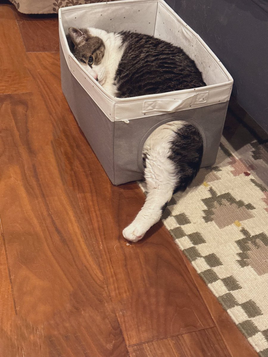 ひさこ☀️ (@hisako317) / Posts / X