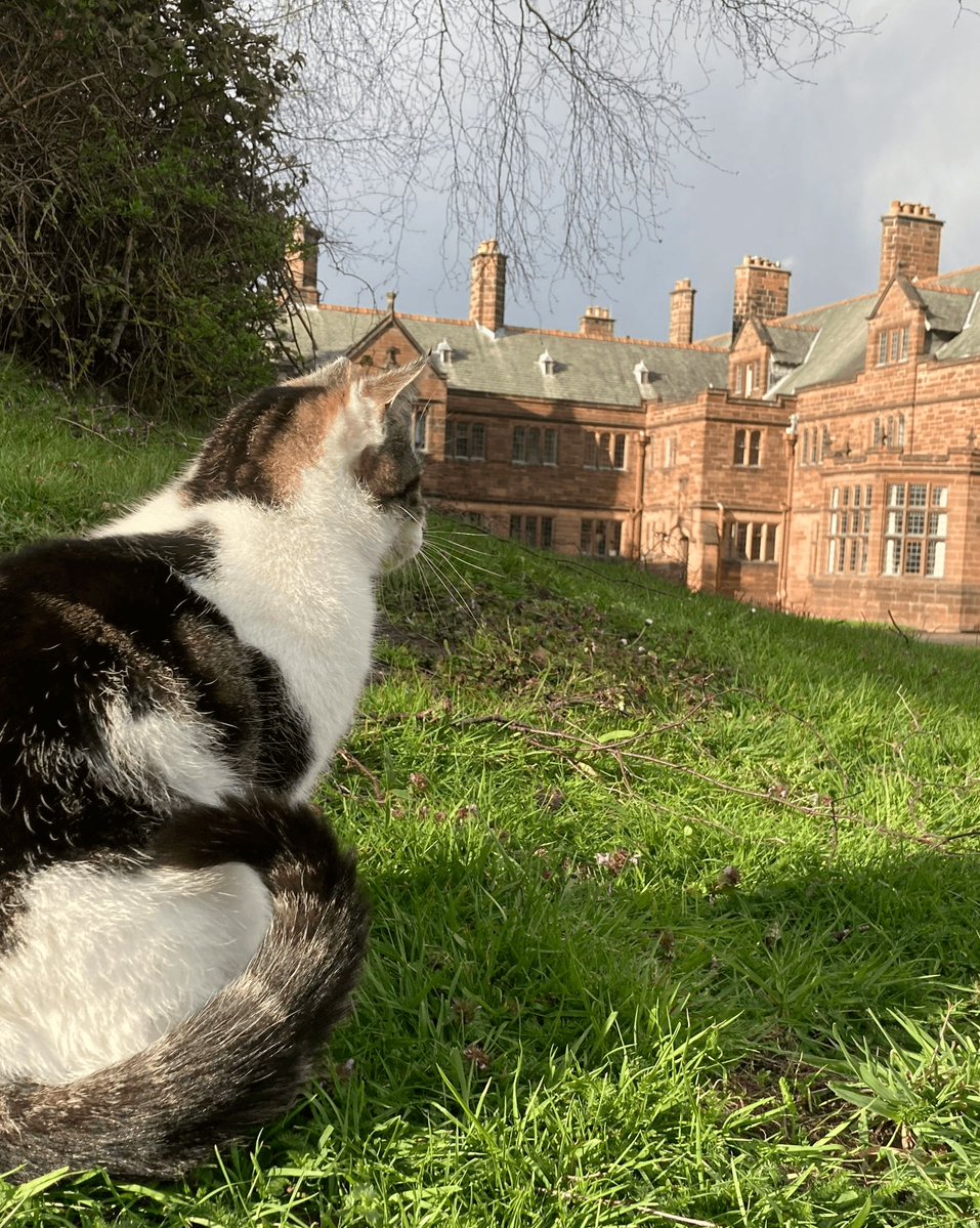 Gladstone's Library tweet media