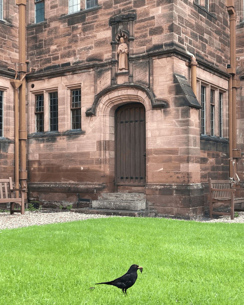 Gladstone's Library tweet media