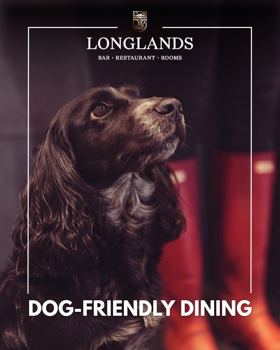 WeAcceptPets's tweet image. 🍻🐾Did you know The Longlands Hotel is completely dog-friendly? Whether guests are stopping by for a pint, enjoying a meal, or staying in one of the cosy cottages, four-legged friends are always welcome. 🏡✨

Accepts 🐶
weacceptpets.co.uk/Lancashire/7026

#DogFriendly #UK @LonglandsHotel