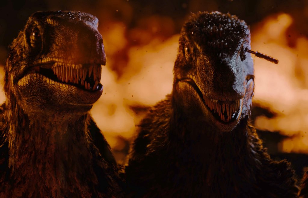 人間食べ食べカエル tweet media