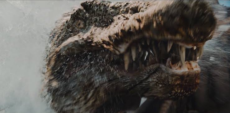 人間食べ食べカエル tweet media