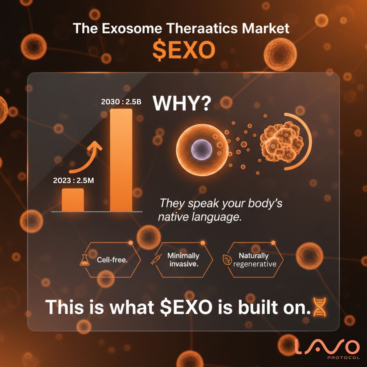 Lavo Protocol tweet media