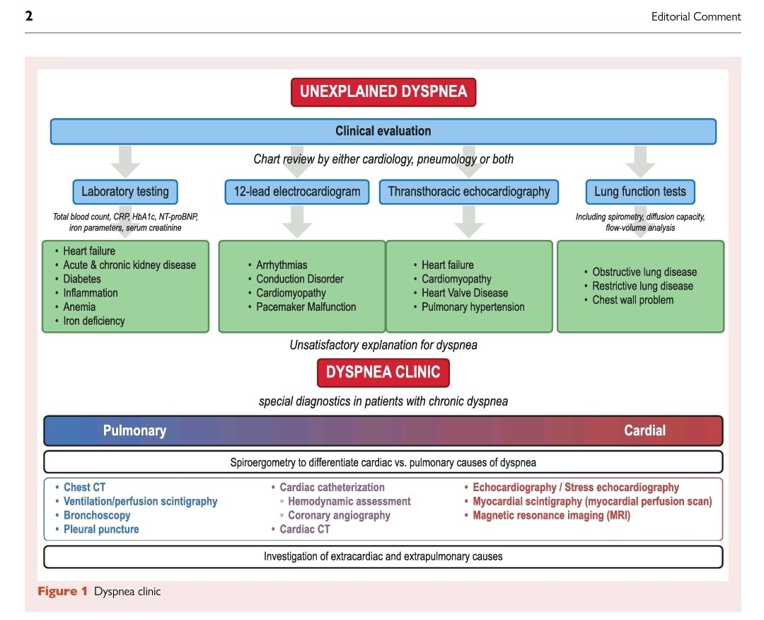 📌 ¿La disnea es solo un síntoma… o estamos frente a un síndrome de alta letalidad mal abordado?
✅El editorial “The Dyspnea Clinic: a new emerging interdisciplinary medical concept”, publicado en European Journal of Heart Failure, plantea un cambio de paradigma urgente en el