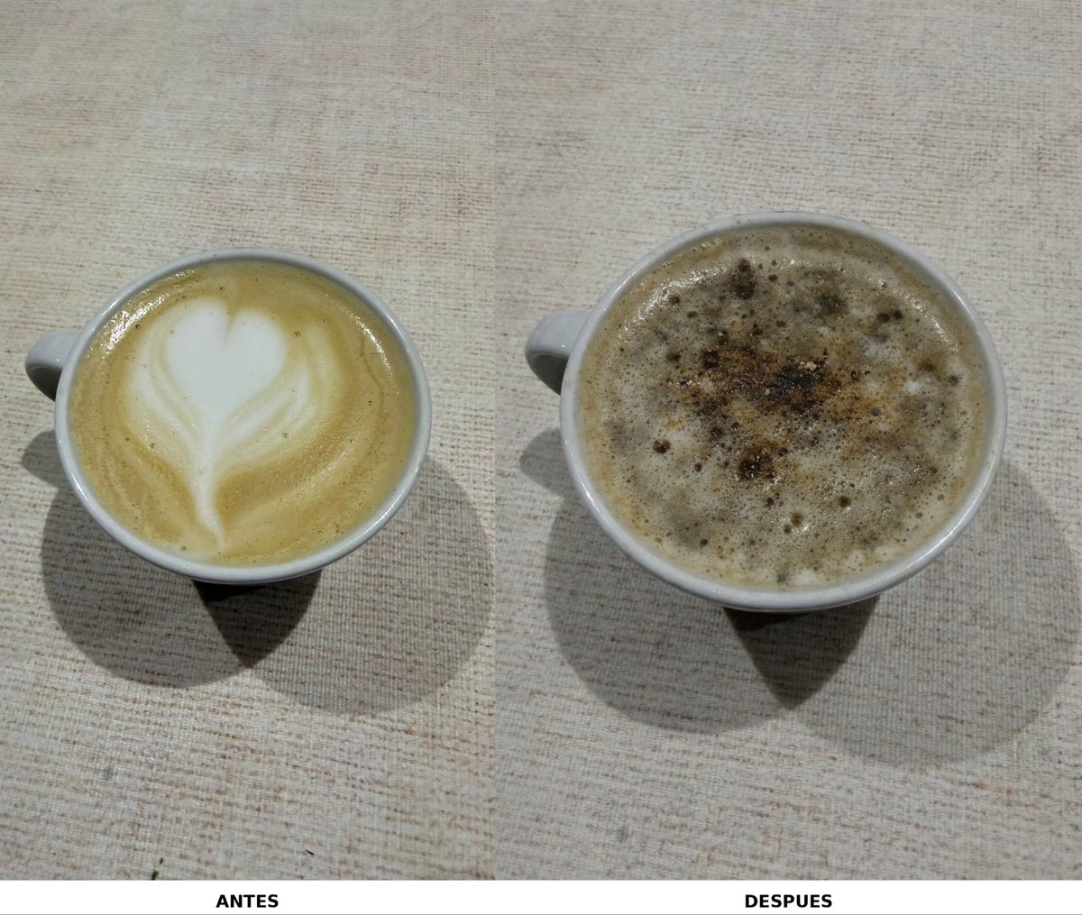 Lino Cabrera tweet media