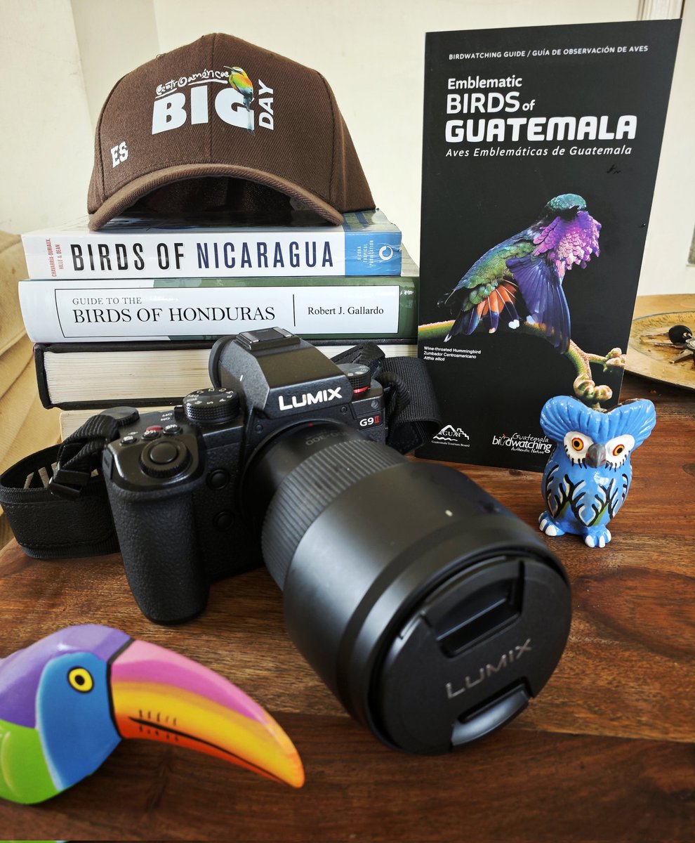 LatAmTravelist tweet media