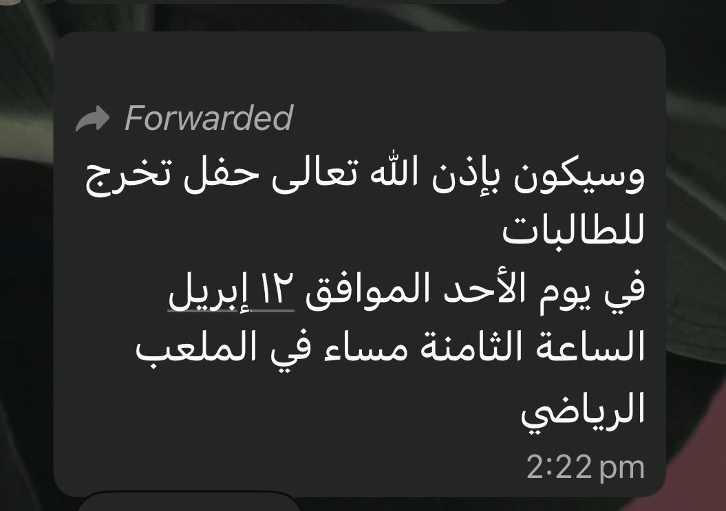 Areej ꪆ𝜚 tweet media