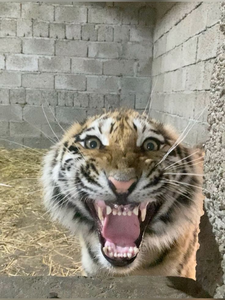 EEEEEEEEEEAAAAAAAAAAAAAAAAHHHHHHHHHHH