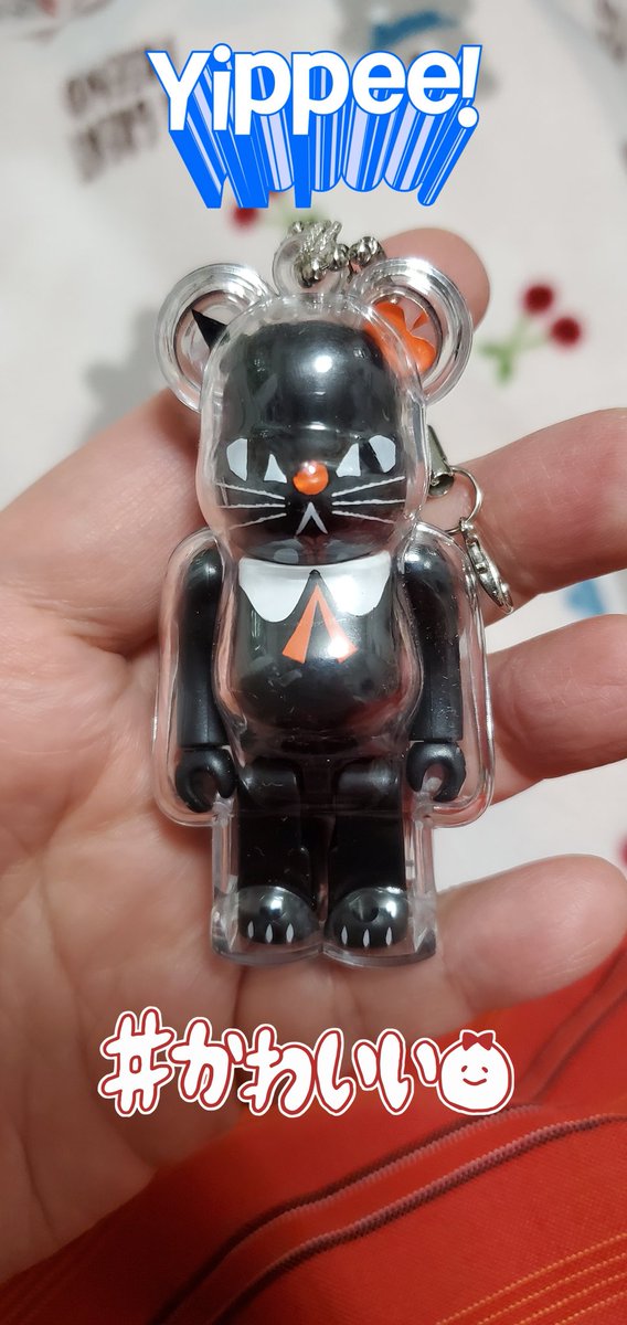 前回のソフコンでお迎えしたかったけど、行った時にはお迎えされた後で